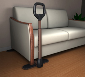 Couch Cane & Organizer Pouch